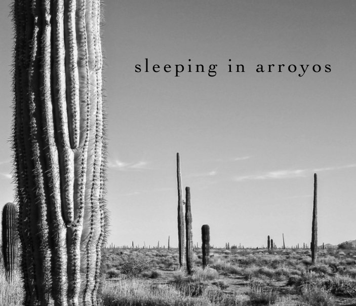 View sleeping in arroyos (winter 2015) by keith marroquin