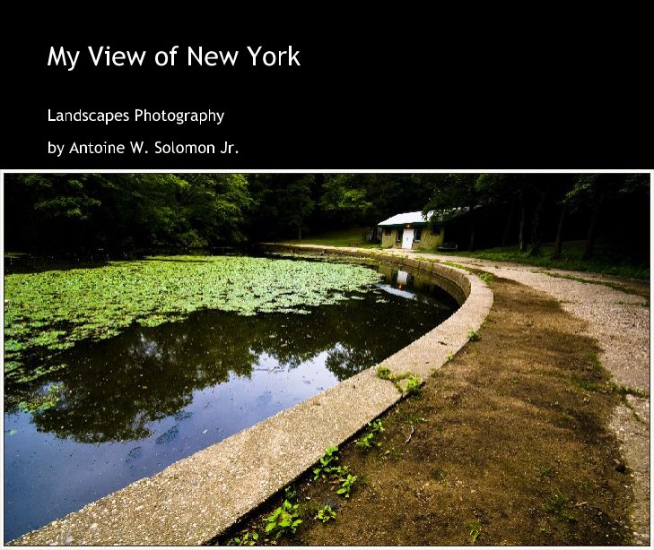 Ver My View of New York por Antoine W. Solomon Jr.
