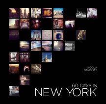 60 days in NEW YORK book cover
