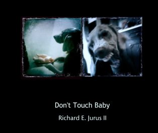 Don't Touch Baby book cover