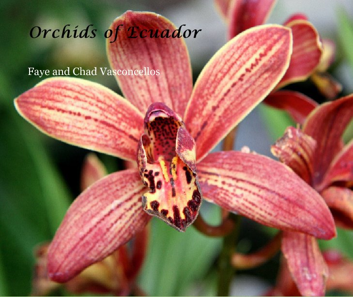 View Orchids of Ecuador by Faye and Chad Vasconcellos
