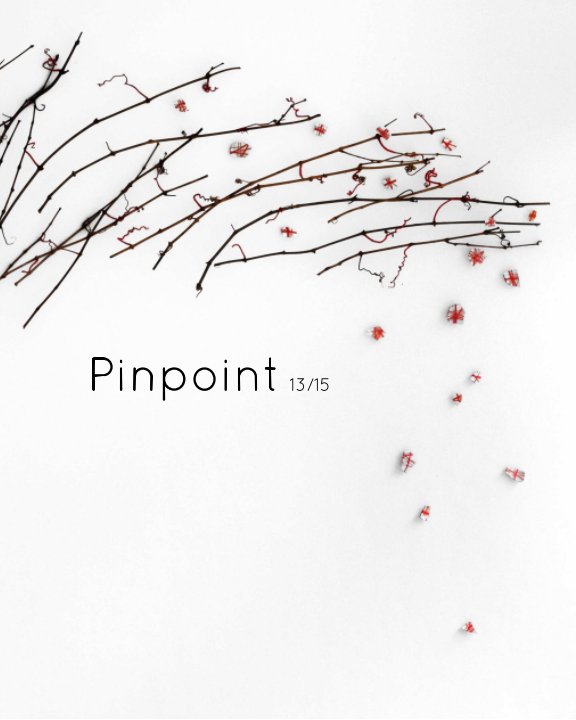 View Pinpoint 13/15 by Joanna Bryant, Lyndsey Keeling