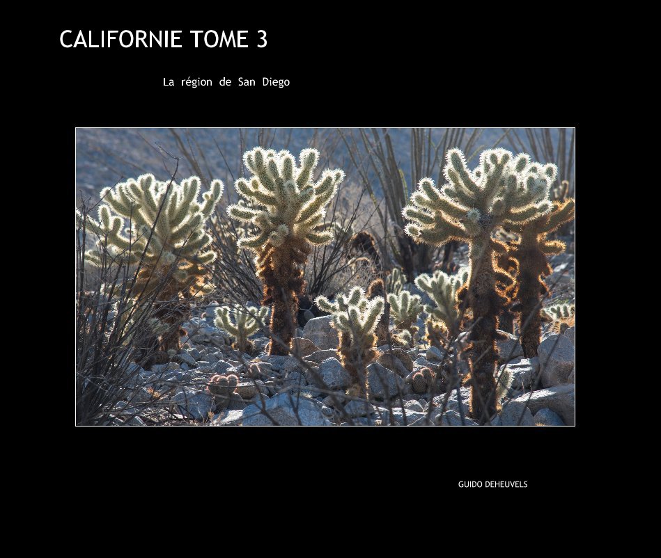 View CALIFORNIE TOME 3 by GUIDO DEHEUVELS