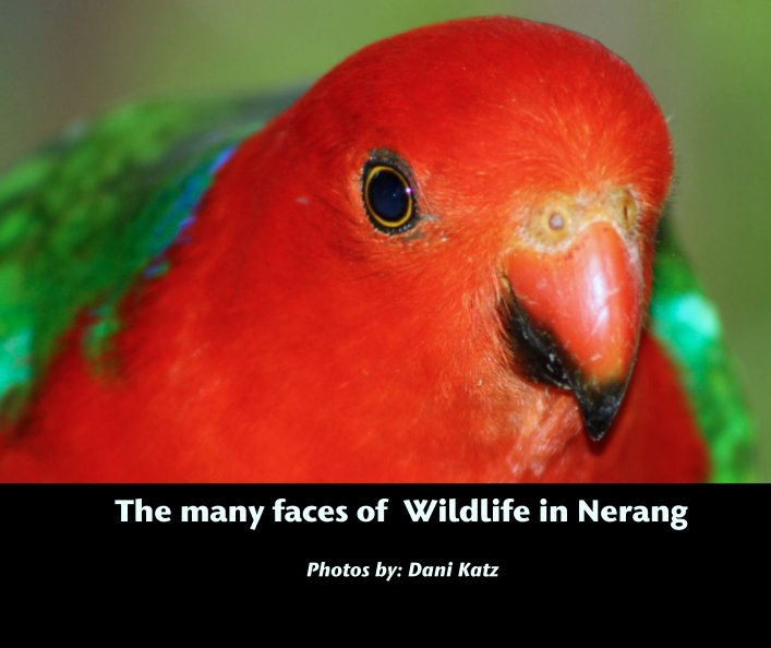 Bekijk The many faces of  Wildlife in Nerang op Photos by: Dani Katz