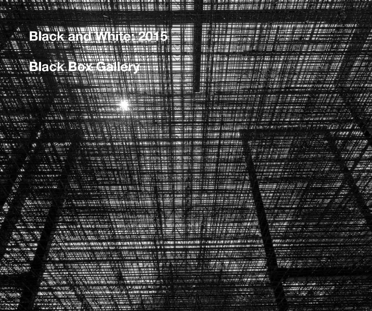 View Black and White: 2015 by Black Box Gallery