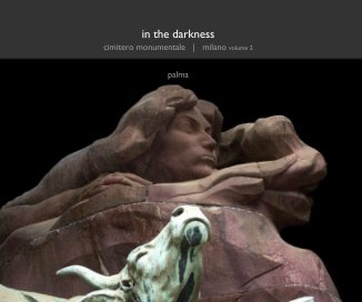 in the darkness book cover