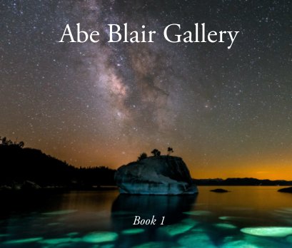 Abe Blair Gallery Book 1 book cover
