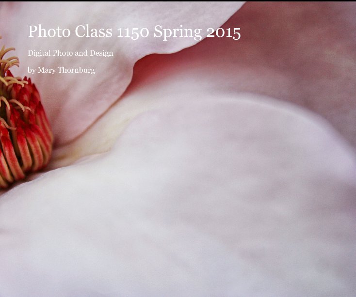 Bekijk Photo Class 1150 Spring 2015 op Mary Thornburg
