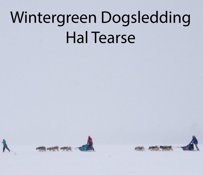 View Wintergreen Dogsledding by Hal Tearse