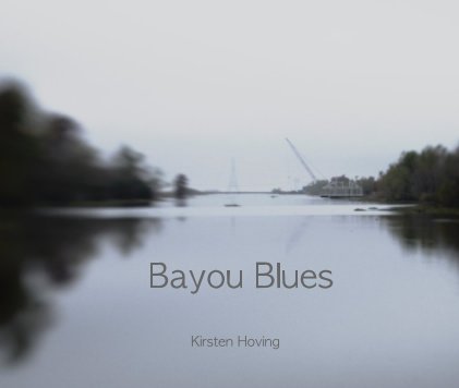 Bayou Blues book cover