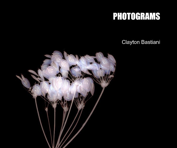 View PHOTOGRAMS by Clayton Bastiani