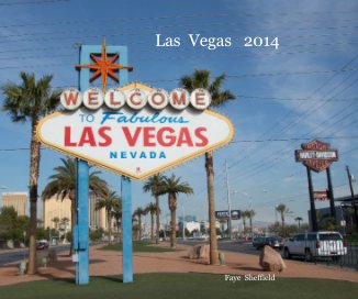Las Vegas 2014 book cover