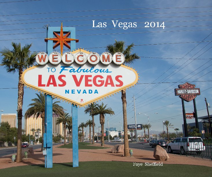 View Las Vegas 2014 by Faye Sheffield