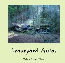Graveyard  Autos book cover