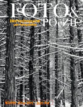 FOTO&POëZIE-01-2015 book cover