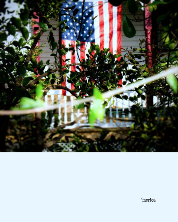View 'merica by shane gilliver