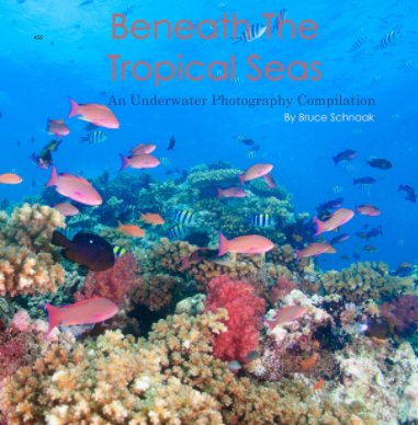 Beneath The Tropical Seas book cover