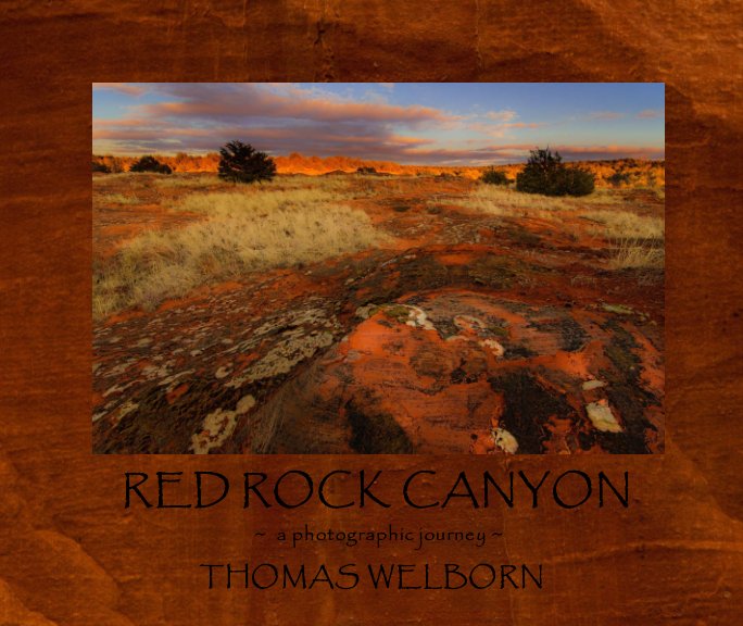 View Red Rock Canyon by Thomas Welborn
