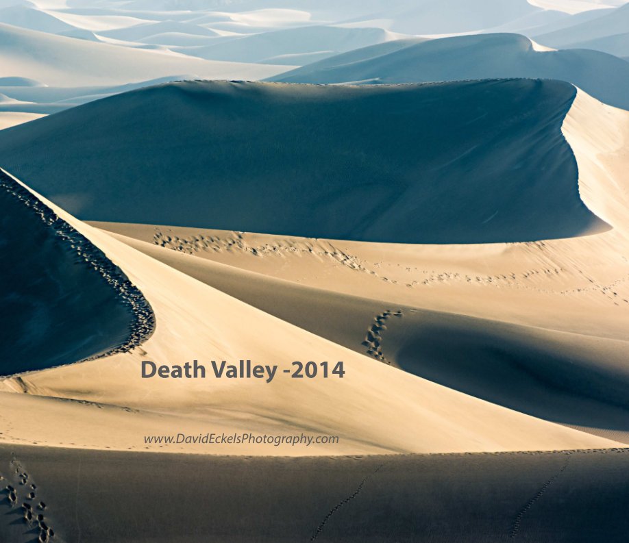 View Death Valley - 2014 by David Eckels