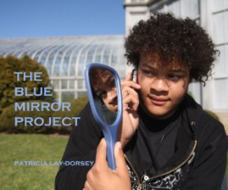 The Blue Mirror Project book cover