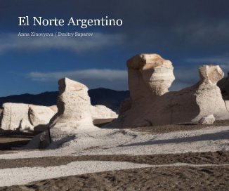 El Norte Argentino book cover