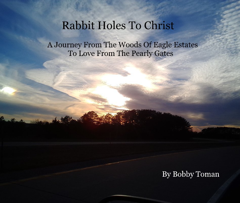 View Rabbit Holes To Christ by Bobby Toman