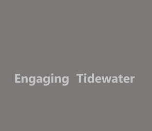 Engaging Tidewater book cover
