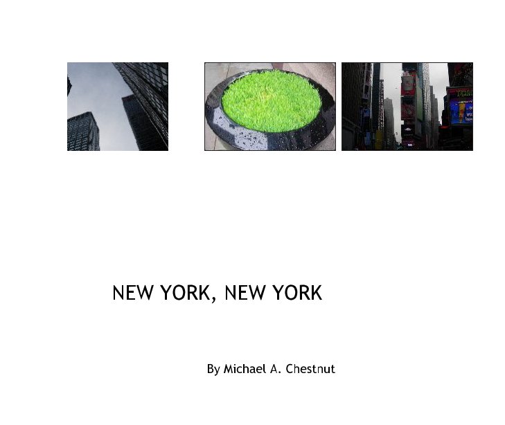 New York New York nach Michael A. Chestnut anzeigen